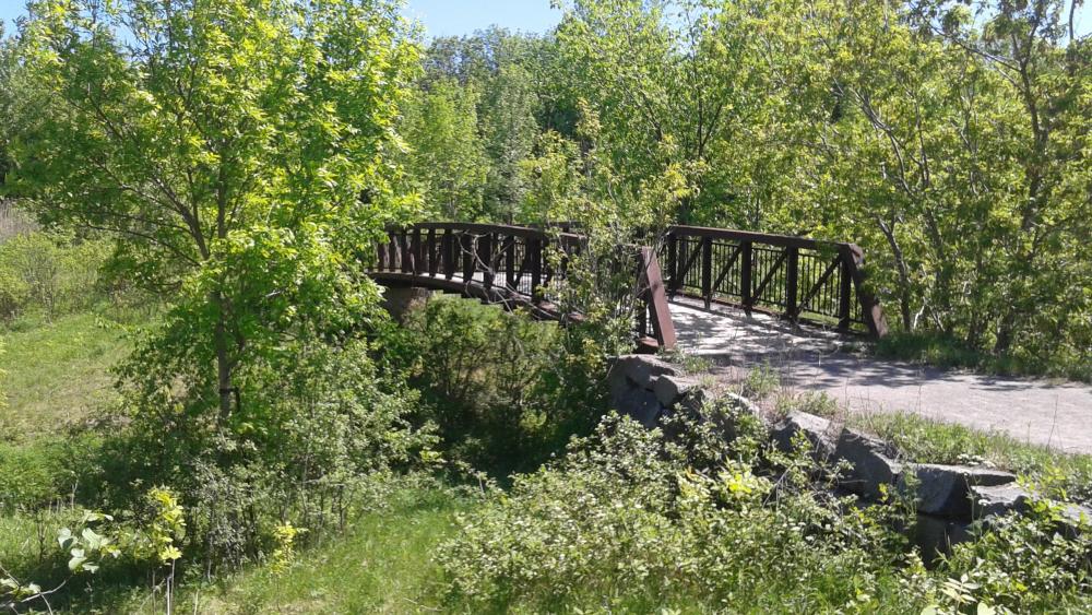 Bois Papineau